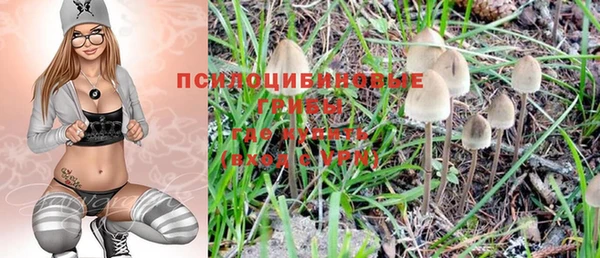 амф Михайловск