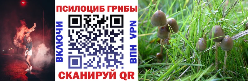 Псилоцибиновые грибы GOLDEN TEACHER  Малая Вишера 